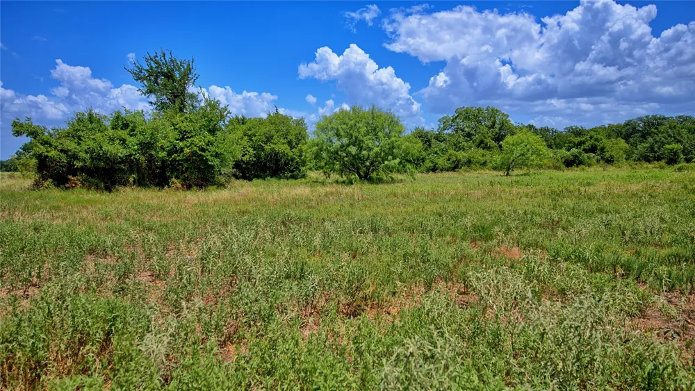 1179 County Road 1470 Chico, TX 76431