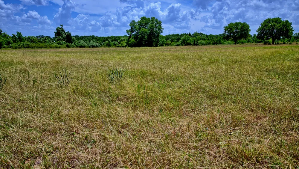 1179 County Road 1470 Chico, TX 76431