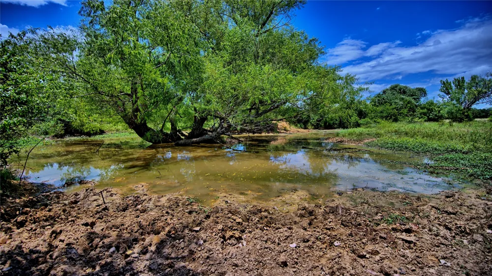 1179 County Road 1470 Chico, TX 76431