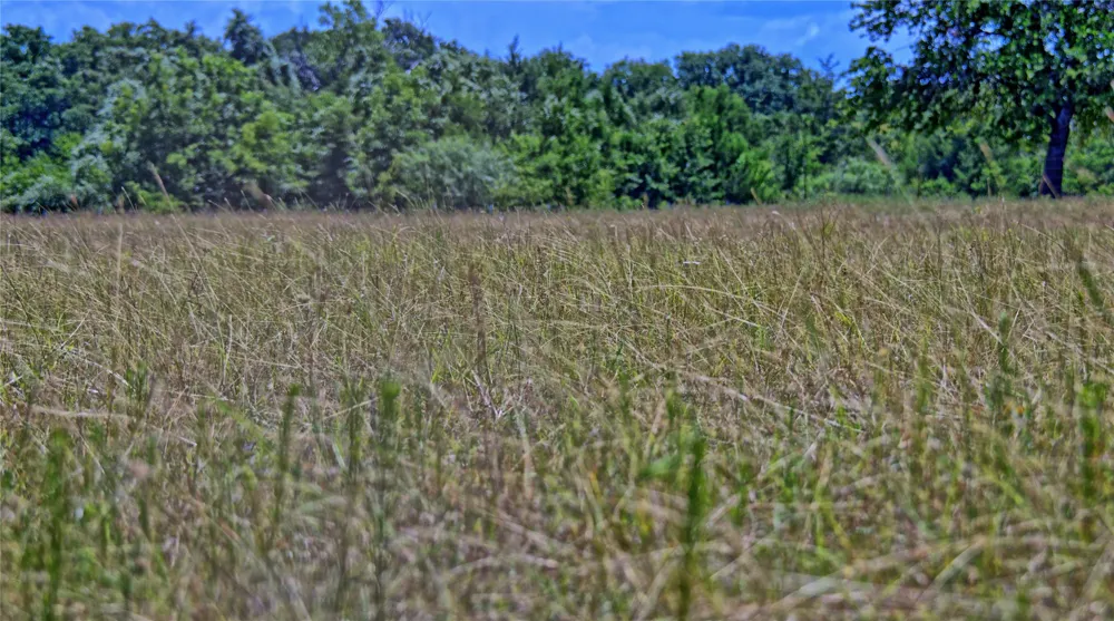 1179 County Road 1470 Chico, TX 76431