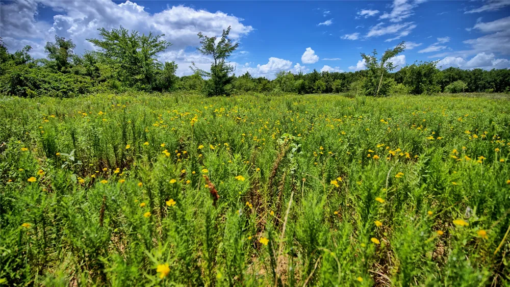 1179 County Road 1470 Chico, TX 76431
