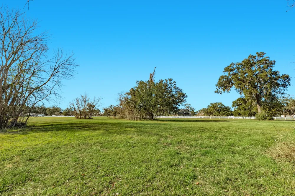 1119 Indian Ridge Rosharon, TX 77583