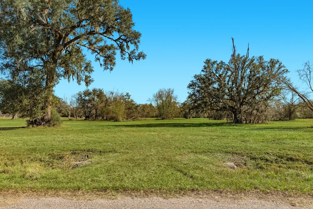 1119 Indian Ridge Rosharon, TX 77583