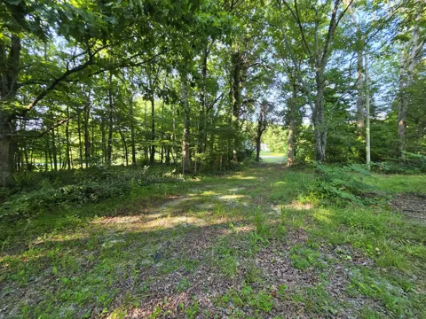 71 Myers Town Rd