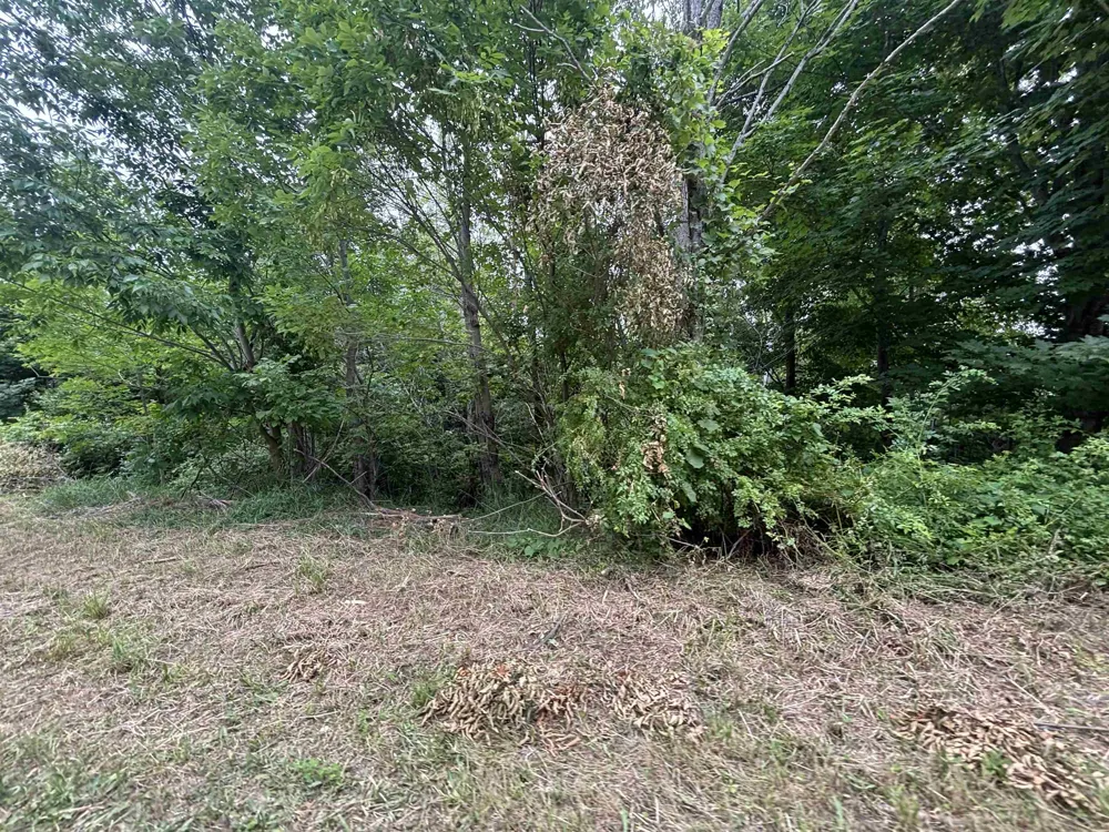 Antrim Dells Road Banks Township, MI 49729
