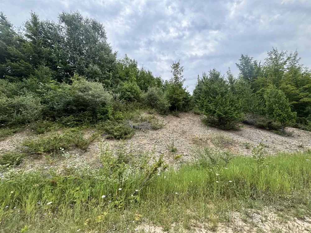 Antrim Dells Road Banks Township, MI 49729