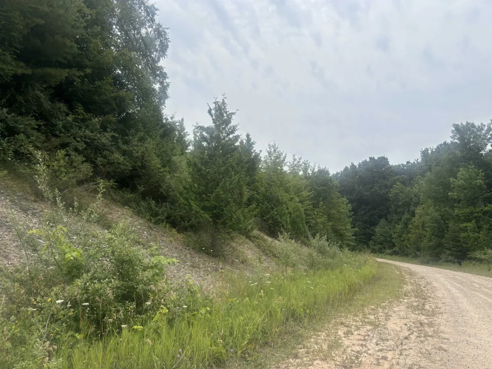 Antrim Dells Road Banks Township, MI 49729