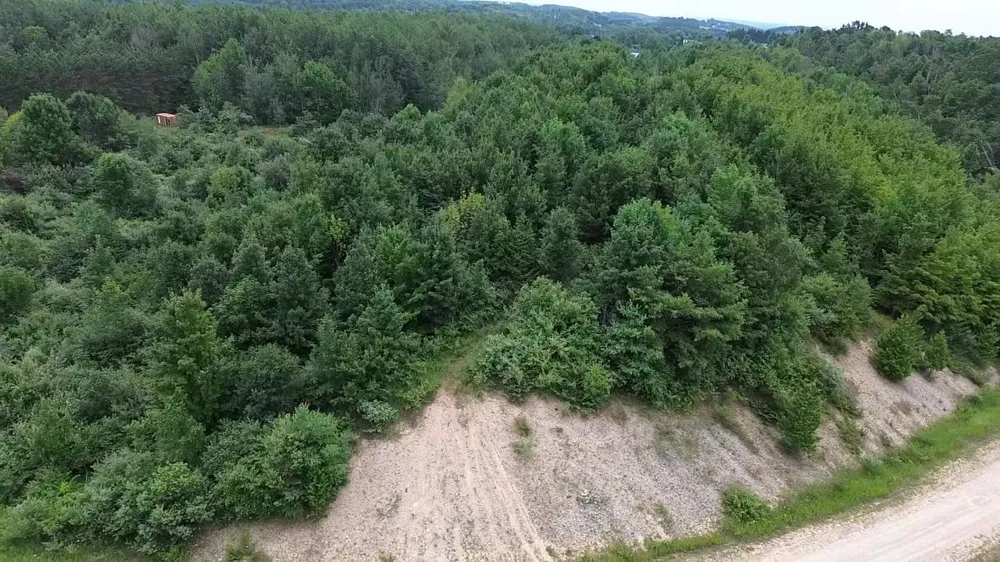 Antrim Dells Road Banks Township, MI 49729