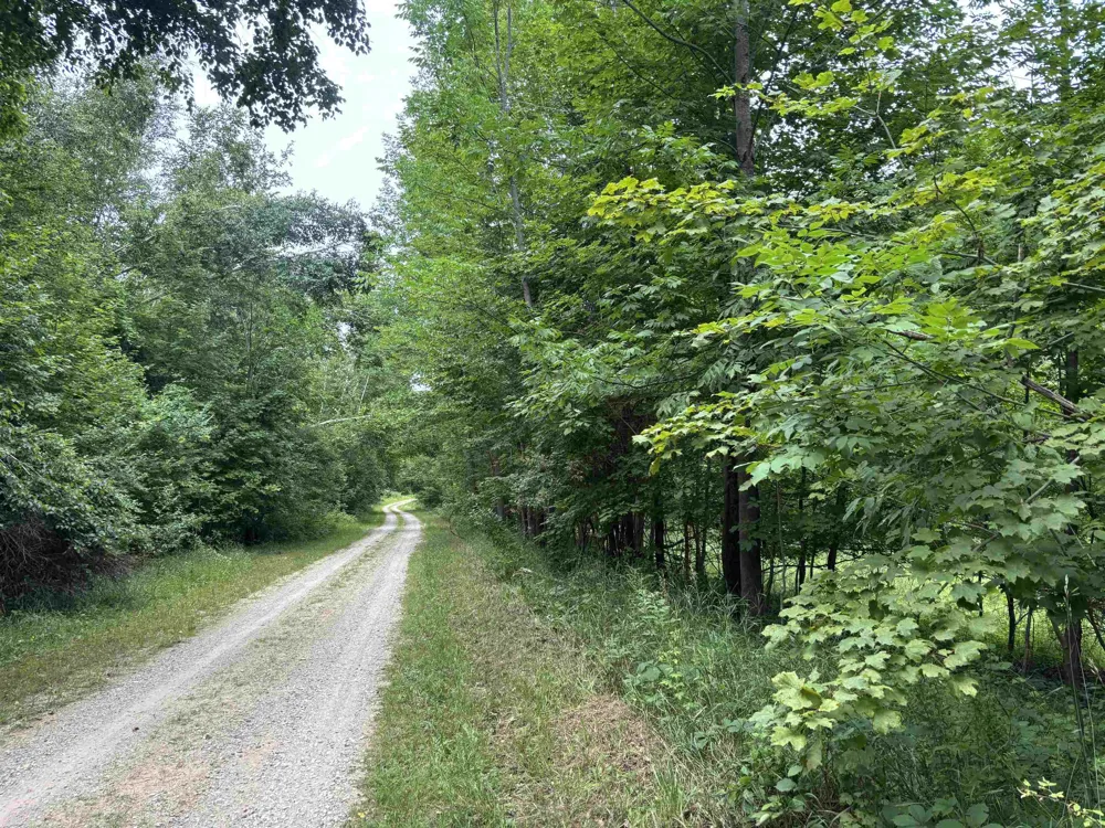 Antrim Dells Road Banks Township, MI 49729