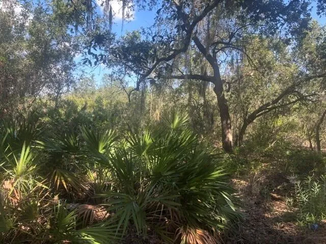 1211 Mayfair Street Lake Placid, FL 33852