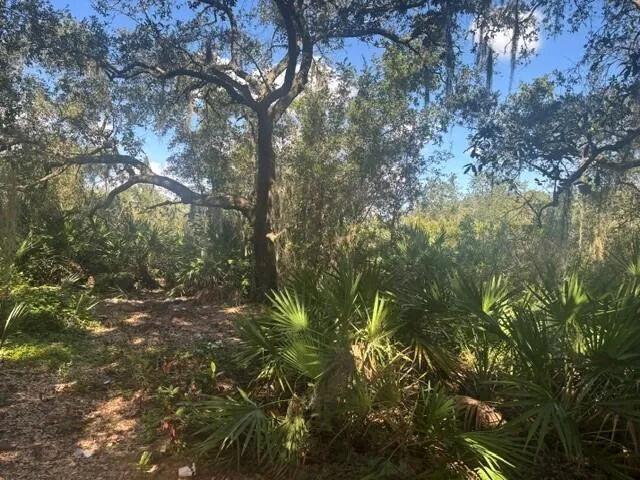 1211 Mayfair Street Lake Placid, FL 33852