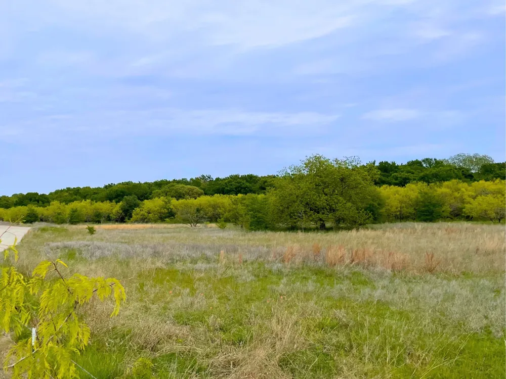 959 M and M Ranch Road Granbury, TX 76049