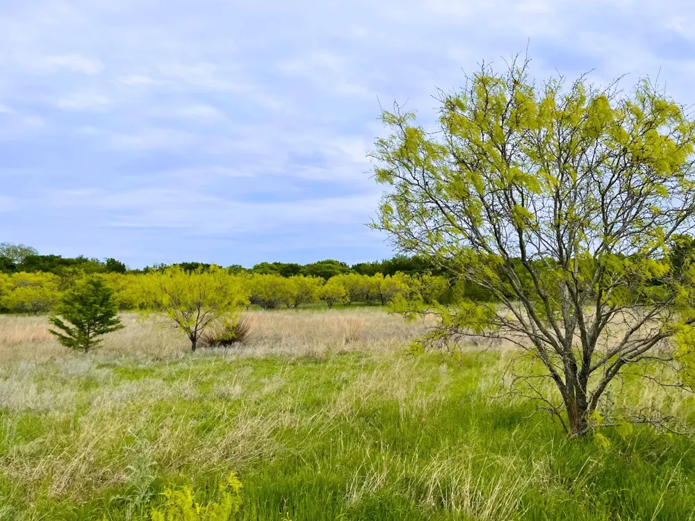 959 M and M Ranch Road Granbury, TX 76049