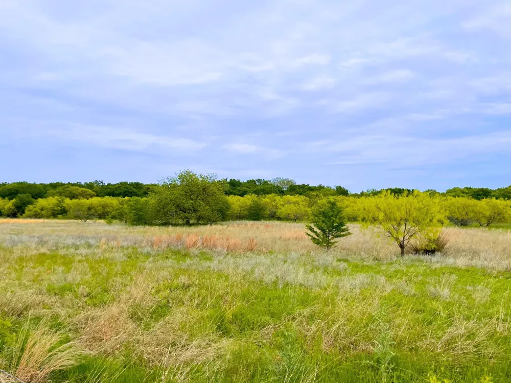 959 M and M Ranch Road Granbury, TX 76049