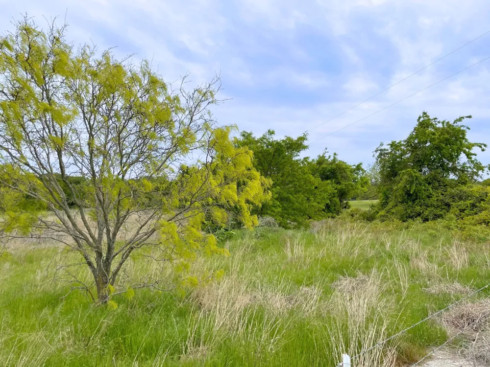 959 M and M Ranch Road Granbury, TX 76049