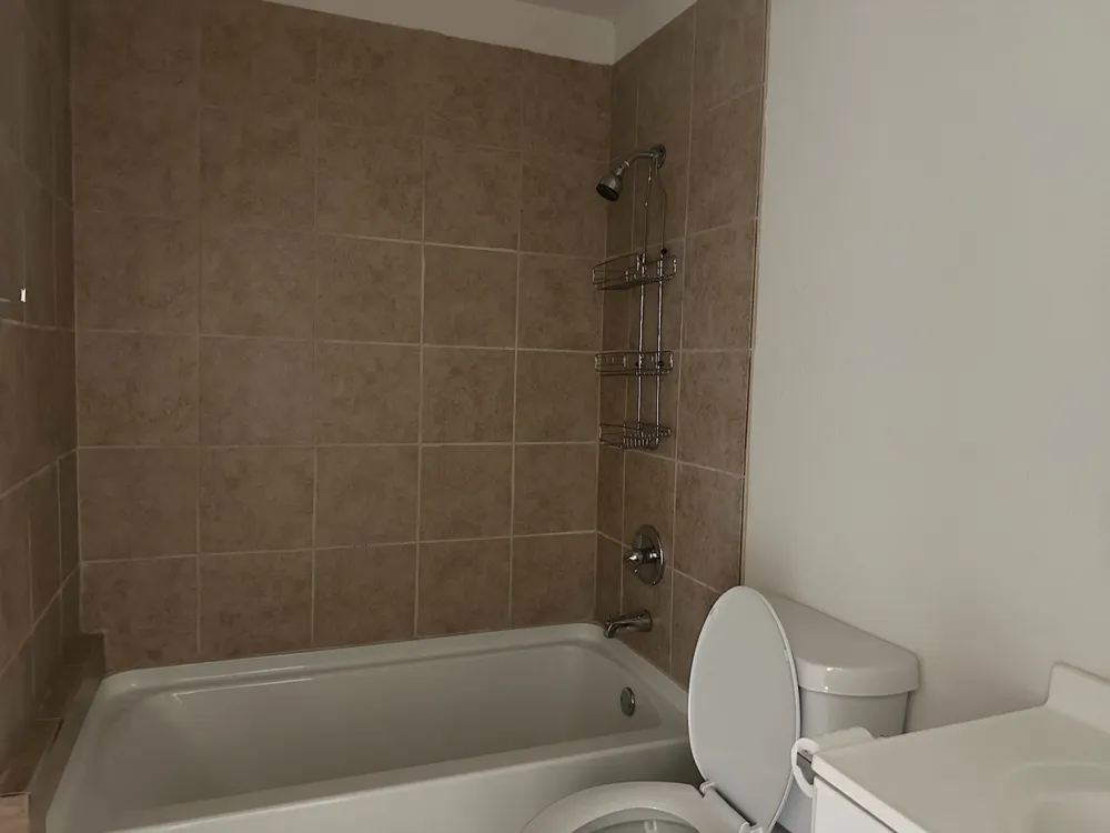 156 Bridlewood Lane Runaway Bay, TX 76426