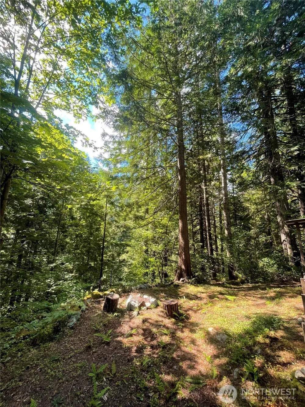 8001 Acorn Lane #D1-162 Marblemount, WA 98267