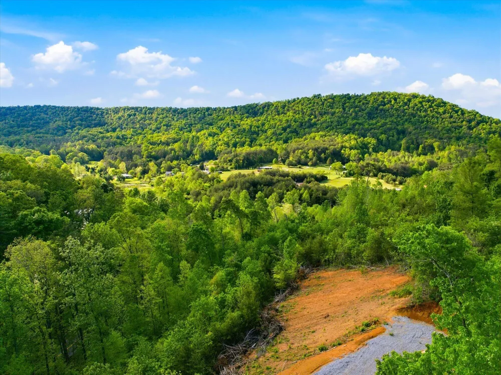 1776 Fairview Road Tellico Plains, TN 37385