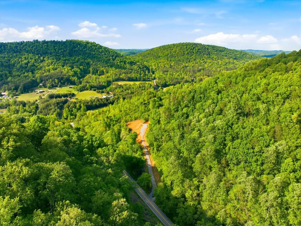 1776 Fairview Road Tellico Plains, TN 37385