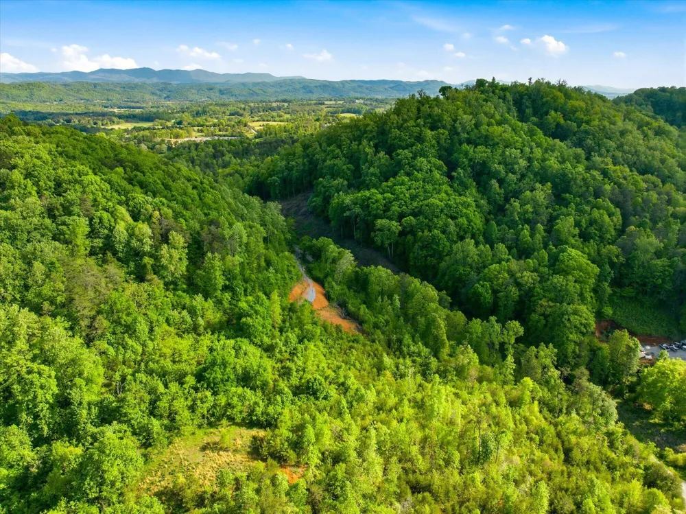 1776 Fairview Road Tellico Plains, TN 37385