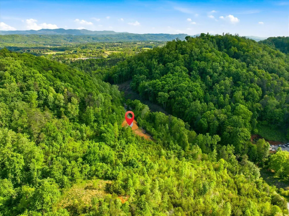 1776 Fairview Road Tellico Plains, TN 37385