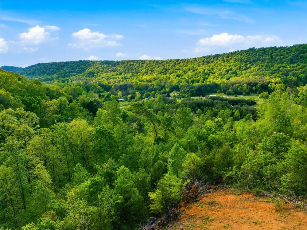 1776 Fairview Road Tellico Plains, TN 37385