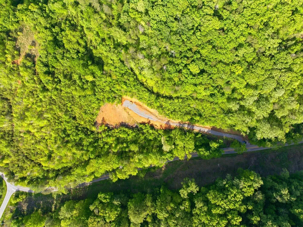 1776 Fairview Road Tellico Plains, TN 37385