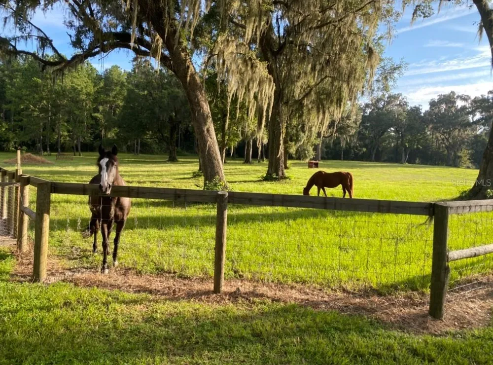 8410 NE 155TH AVENUE Williston, FL 32696