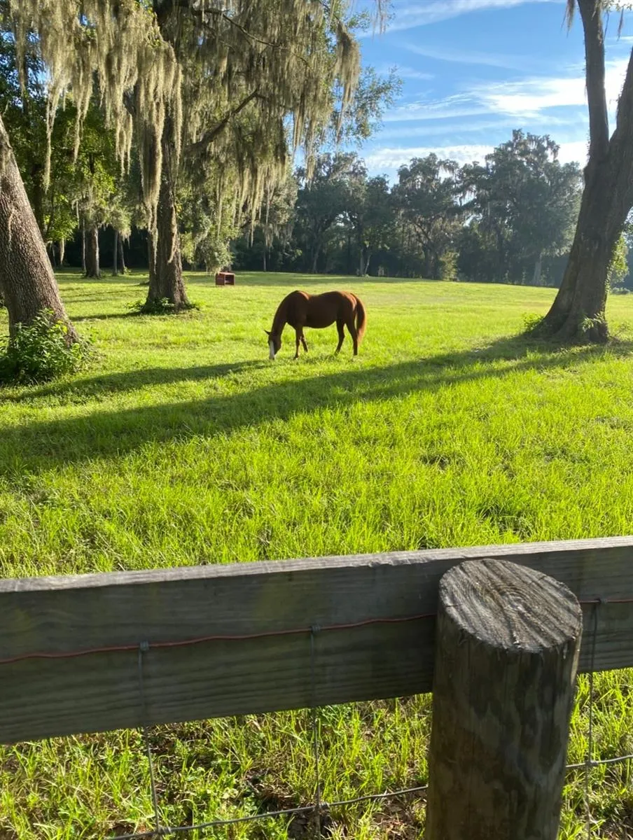 8410 NE 155TH AVENUE Williston, FL 32696