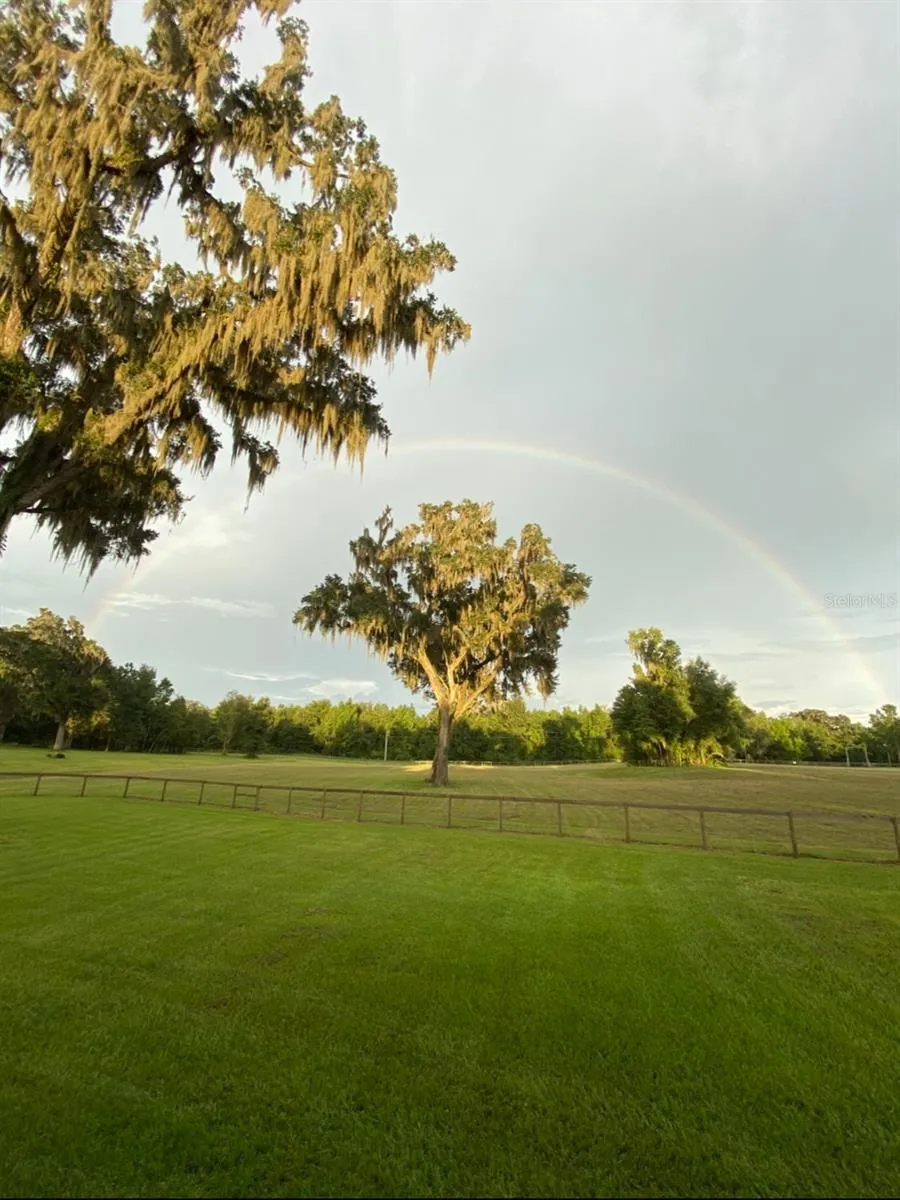 8410 NE 155TH AVENUE Williston, FL 32696