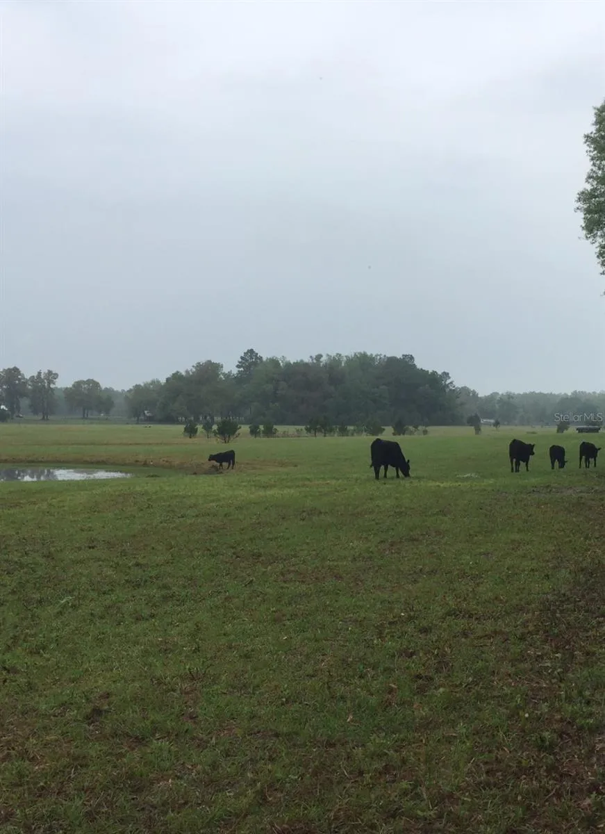 8410 NE 155TH AVENUE Williston, FL 32696