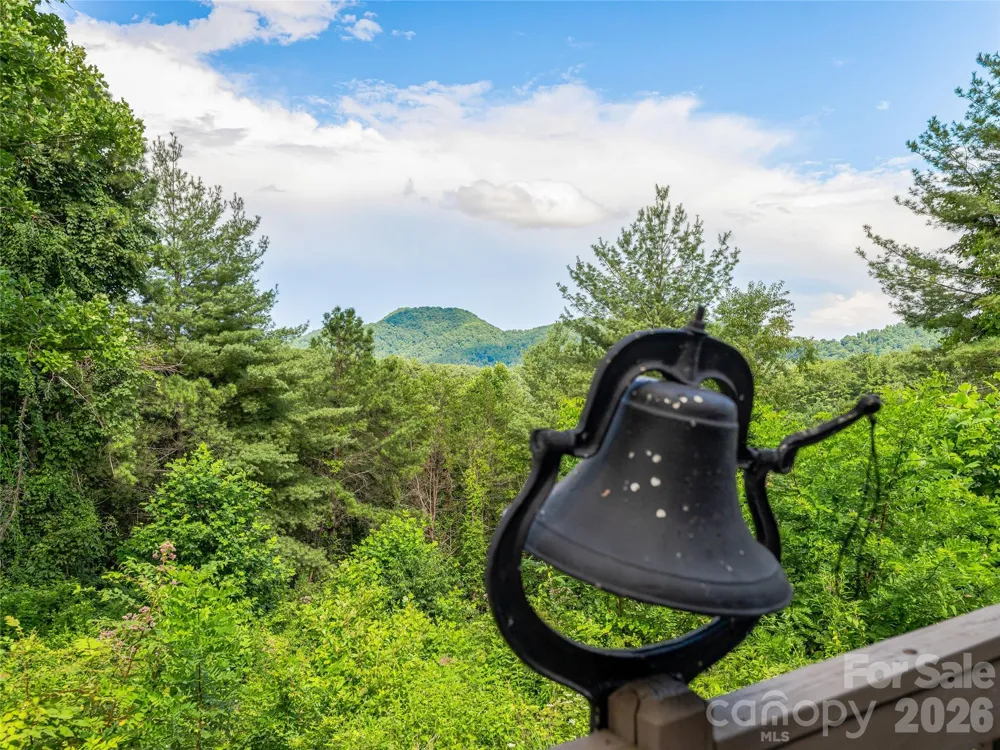 152 Worley Cove Road Leicester, NC 28748