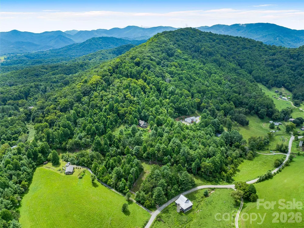 152 Worley Cove Road Leicester, NC 28748