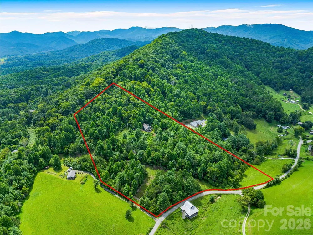 152 Worley Cove Road Leicester, NC 28748