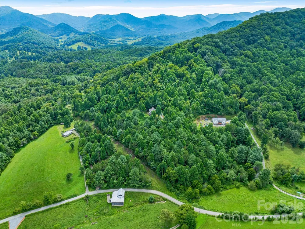 152 Worley Cove Road Leicester, NC 28748