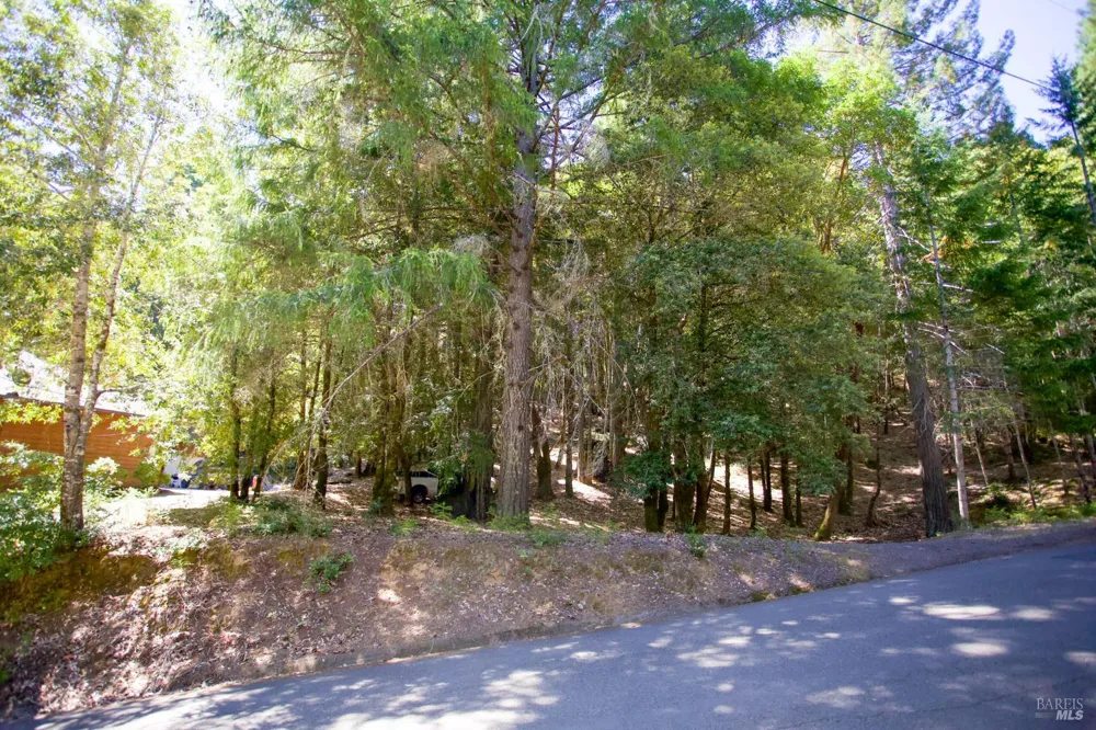 2371 Perch Drive Willits, CA 95490