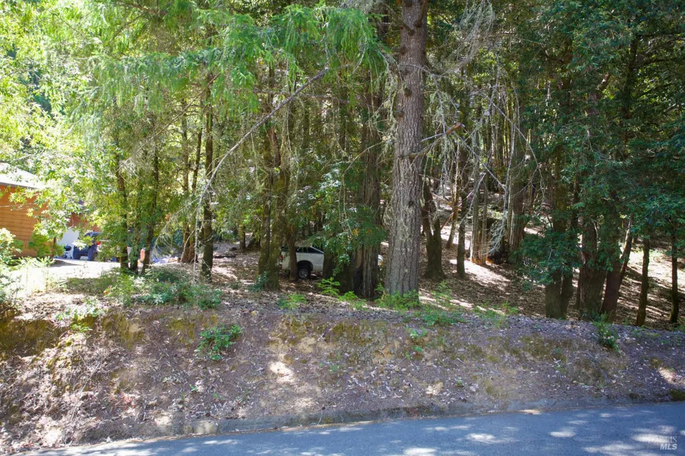 2371 Perch Drive Willits, CA 95490
