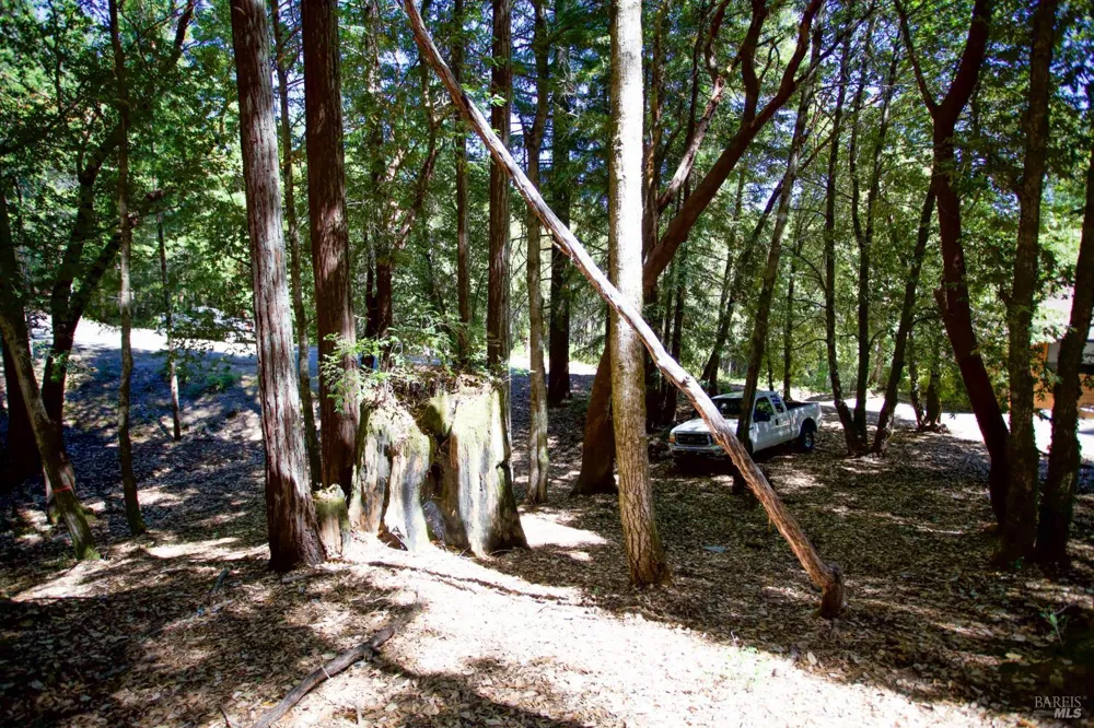 2371 Perch Drive Willits, CA 95490