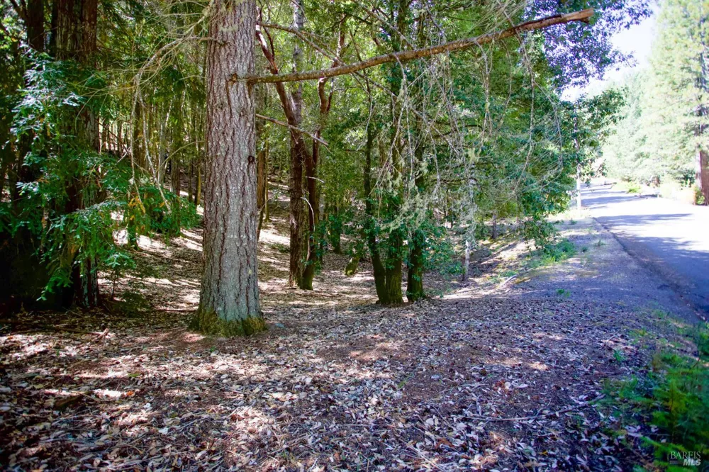 2371 Perch Drive Willits, CA 95490