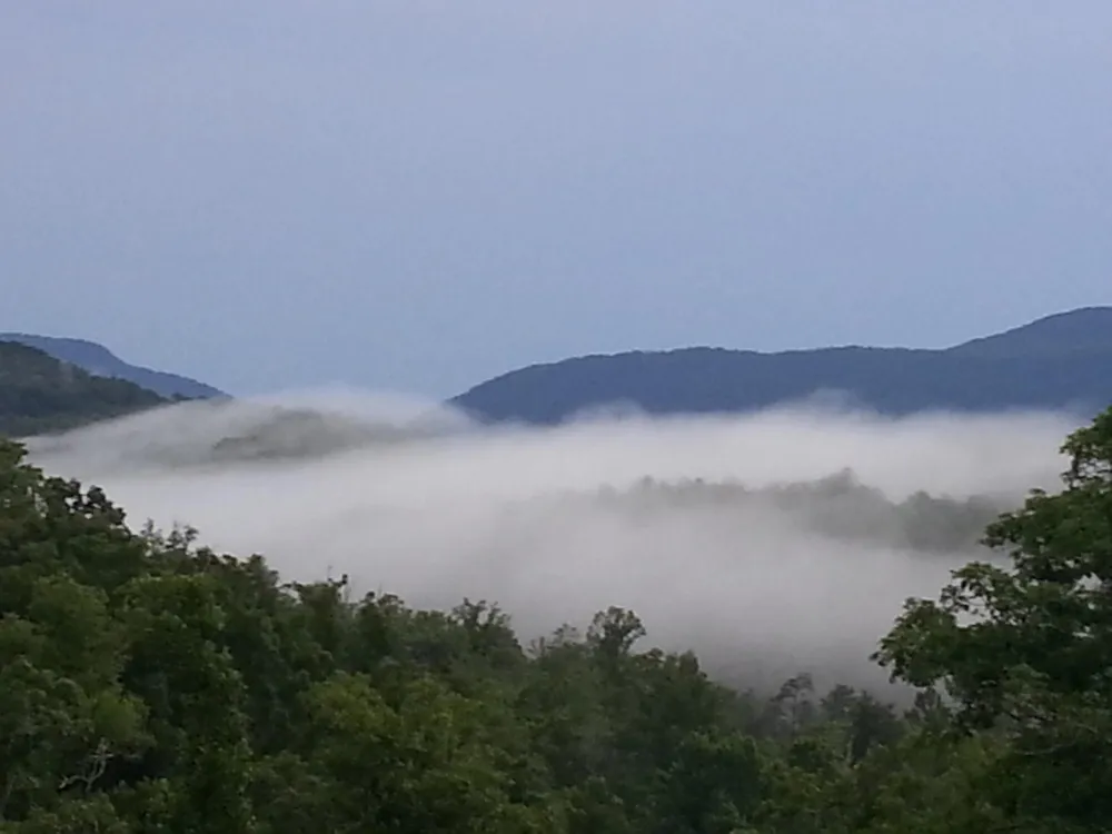 154 High Top Road Reliance, TN 37369