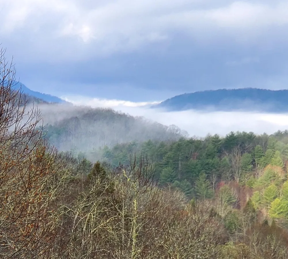 154 High Top Road Reliance, TN 37369