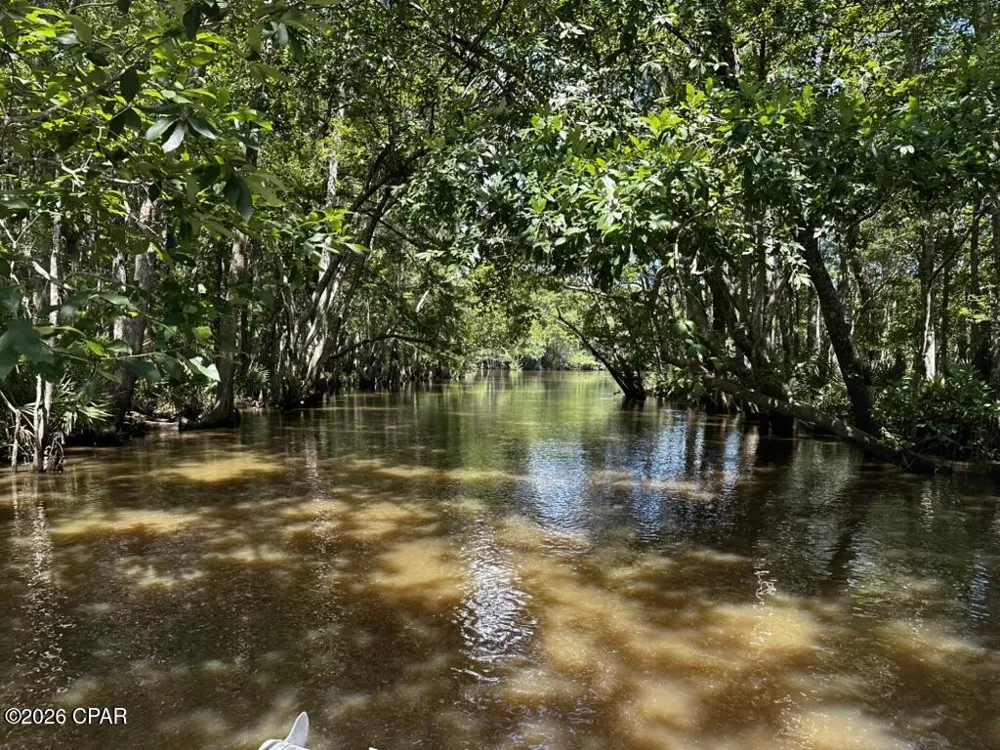 Canal Drive Vernon, FL 32462