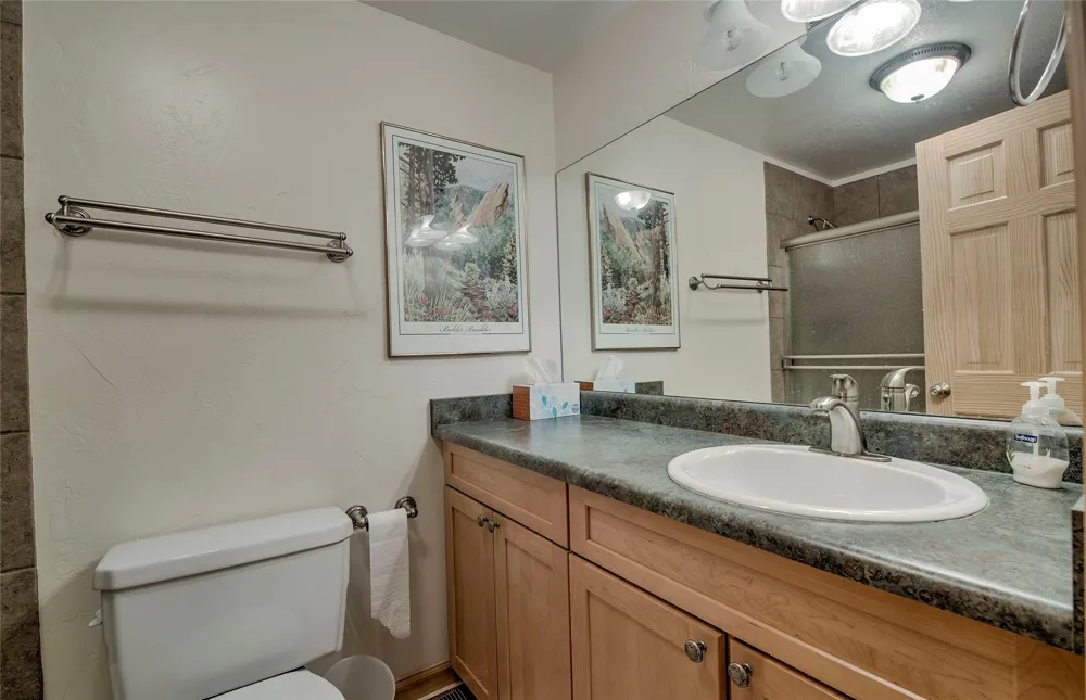 324 Lagoon Lane Silverthorne, CO 80498