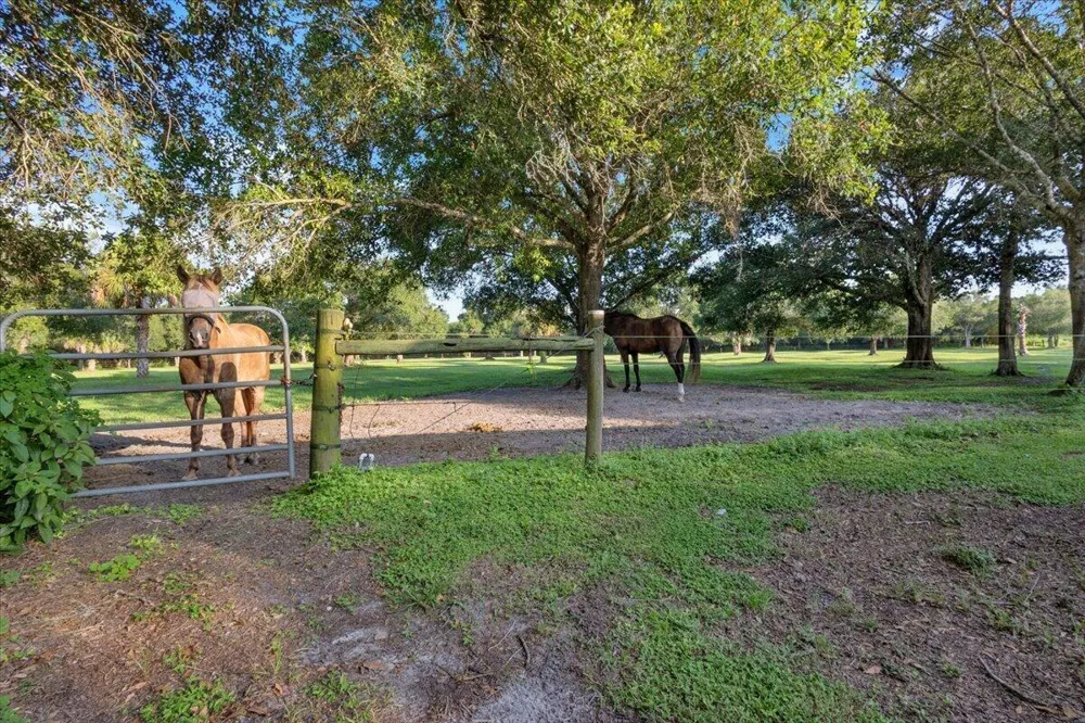 8505 IMMOKOLEE ROAD Fort Pierce, FL 34951
