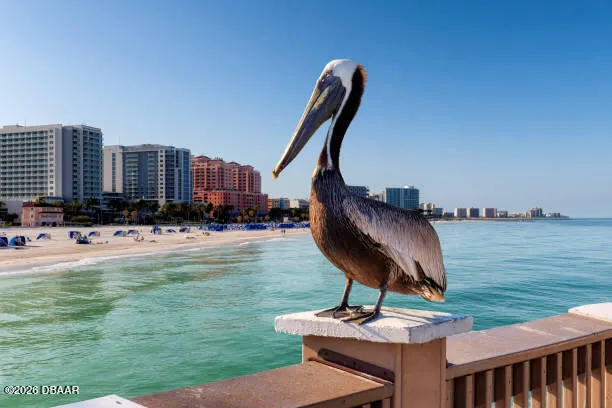 2 Oceans West Boulevard #406 Daytona Beach Shores, FL 32118