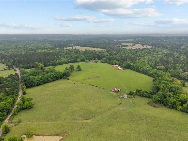 2664 An County Road 103 Elkhart, TX 75839