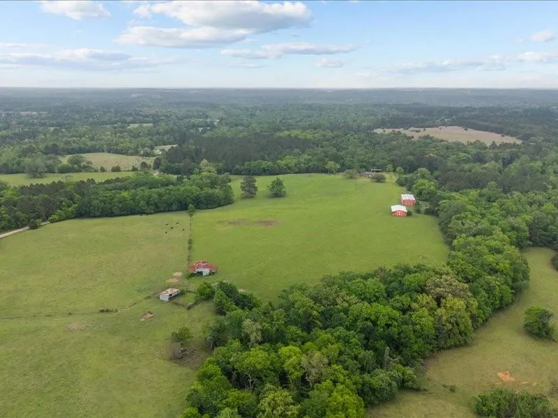 2664 An County Road 103 Elkhart, TX 75839
