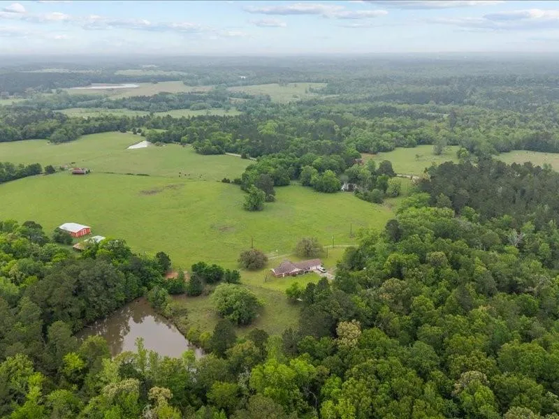 2664 An County Road 103 Elkhart, TX 75839