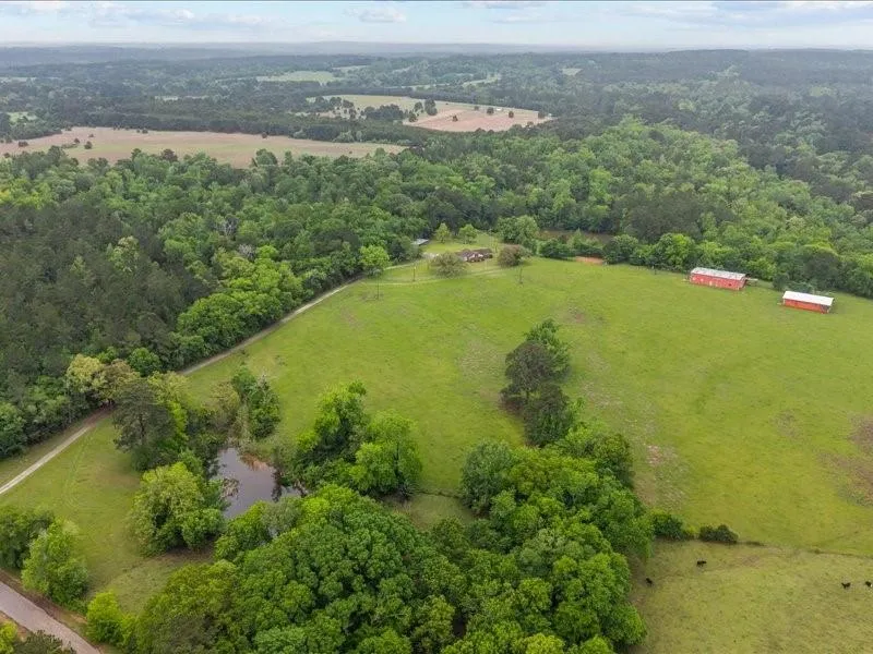 2664 An County Road 103 Elkhart, TX 75839