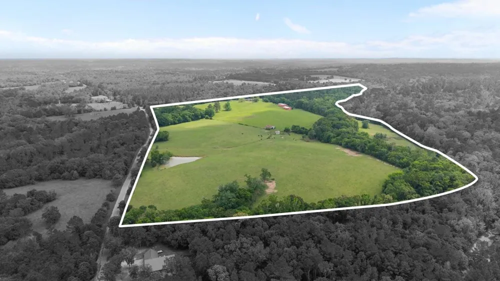 2664 An County Road 103 Elkhart, TX 75839